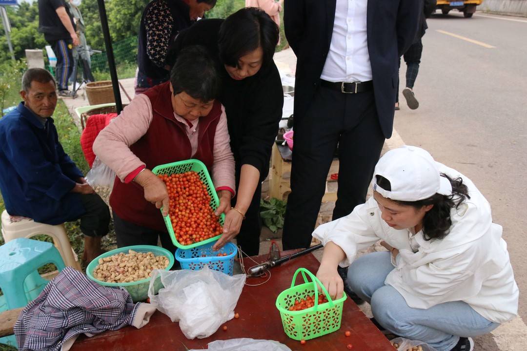 江阳区:方山樱桃抢“鲜”上市(图6) 6.jpg