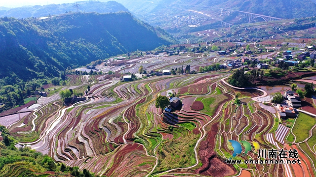 古蔺德耀：万亩梯田春耕忙，不负美景好时光(图1)