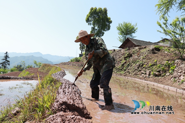 古蔺德耀：万亩梯田春耕忙，不负美景好时光(图6)