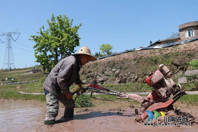 古蔺德耀：万亩梯田春耕忙，不负美景好时光(图8)
