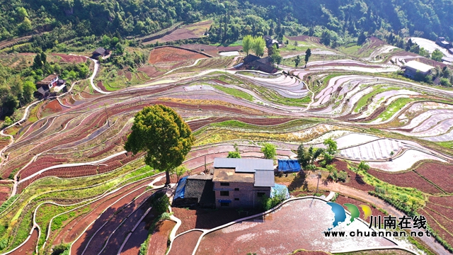 古蔺德耀：万亩梯田春耕忙，不负美景好时光(图10)