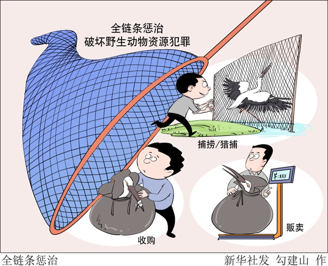 这些珍稀野生动物违法交易是如何发生的？(图2)