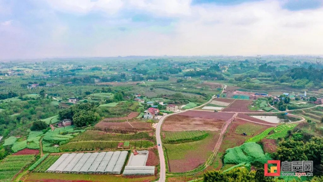 你看！好美的自贡春耕图(图9)