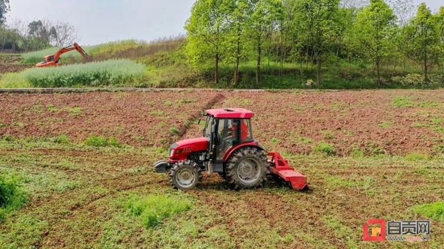 你看！好美的自贡春耕图(图11)