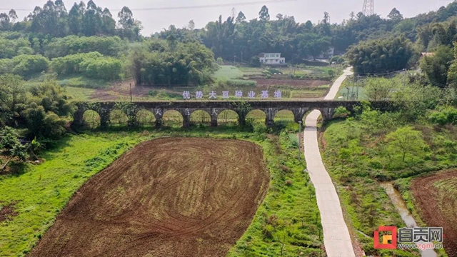 你看！好美的自贡春耕图(图12)