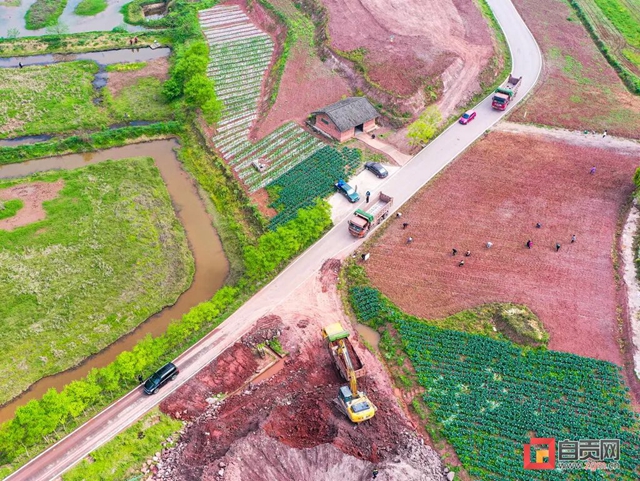 你看！好美的自贡春耕图(图13)