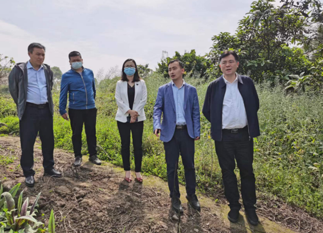 泸州市口岸物流办党组书记、主任李智带队调研合江县现代物流业发展工作(图4) 泸州市口岸物流办党组书记、主任李智带队调研合江县现代物流业发展工作(图4)