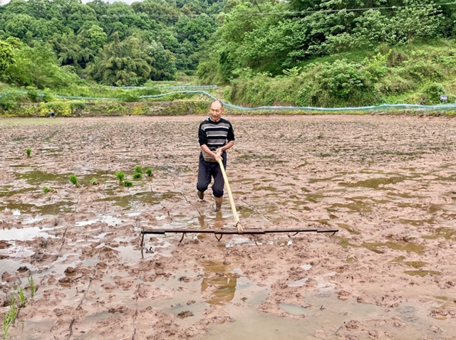 头批小龙虾丰收后，合江的巴蜀鱼米之乡忙起了这个！(图4)