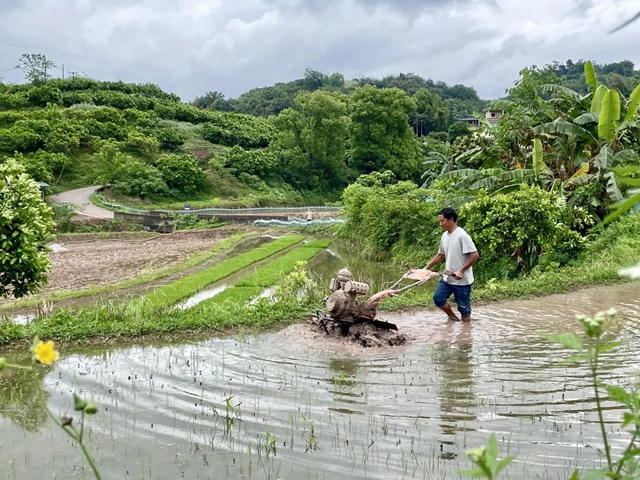 头批小龙虾丰收后，合江的巴蜀鱼米之乡忙起了这个！(图6)