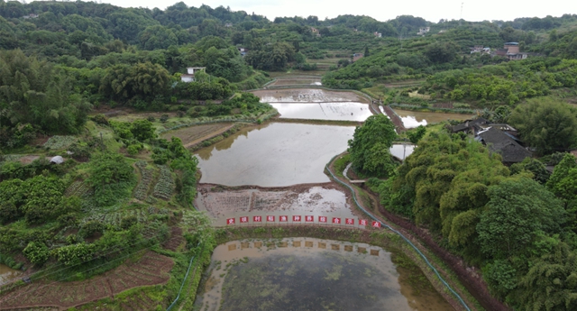 头批小龙虾丰收后，合江的巴蜀鱼米之乡忙起了这个！(图8)