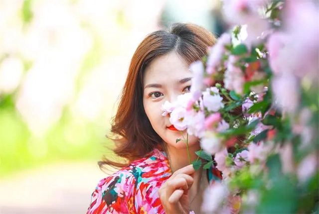 枫叶、蔷薇、三角梅、郁金香......这是热情绚烂的四月泸州(图12)