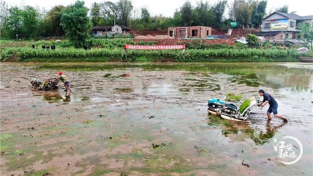 春到三江耕种忙 | 农业机械化为春耕“保驾护航”(图2)