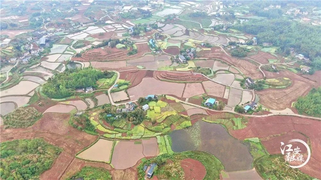 春到三江耕种忙 | 农业机械化为春耕“保驾护航”(图3)