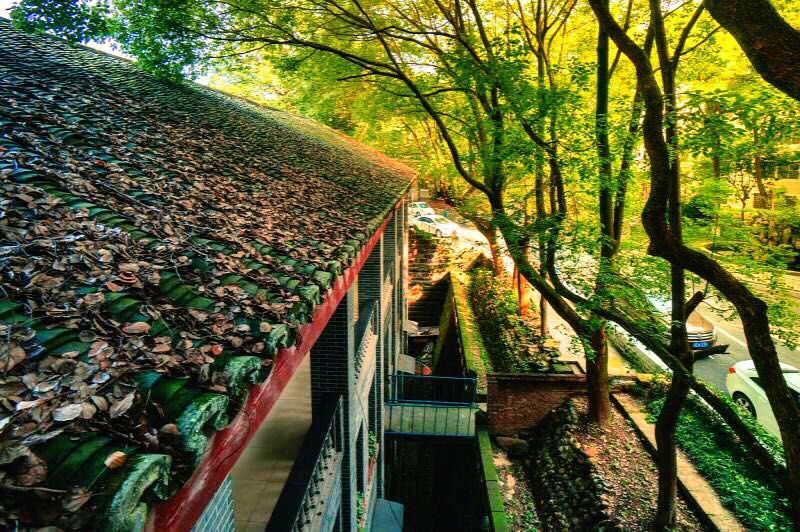 泸州高中公开考核招聘教师(图7) 泸州高中公开考核招聘教师(图7)