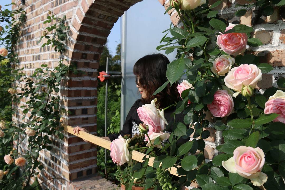 别再“云赏花”,到这里来一场春日的玫瑰告白吧(图1) 1.jpg