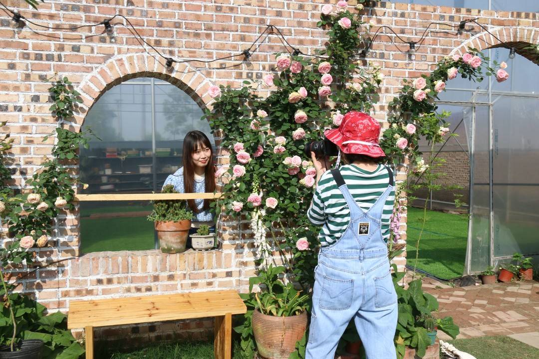 别再“云赏花”,到这里来一场春日的玫瑰告白吧(图5) 5.jpg