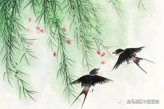 【谷雨养生】重在“三点”,龙马中医敲黑板!(图2) 【谷雨养生】重在“三点”,龙马中医敲黑板!(图2)