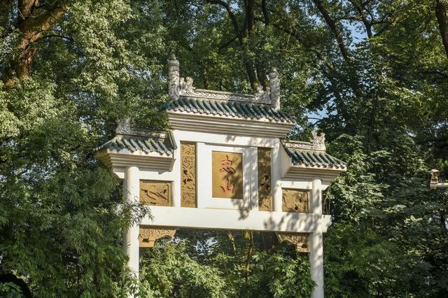 百年香樟成林｜让西南医科大学子念念不忘的“绿荫”情谊(图28)