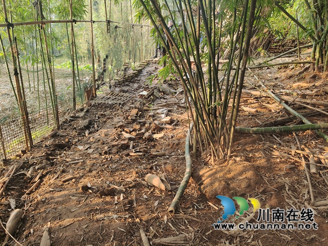 纳溪法院:电动三轮车通行引纠纷,法院巡回审判止纷争(图3) 纳溪法院:电动三轮车通行引纠纷,法院巡回审判止纷争(图3)