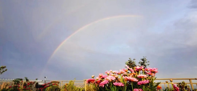 快看天上！内江人的朋友圈被它刷屏了(图4)