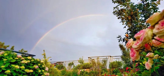 快看天上！内江人的朋友圈被它刷屏了(图5)