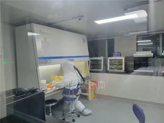 报告！内江高新区无症状感染者新冠病毒全基因组测序结果出来了