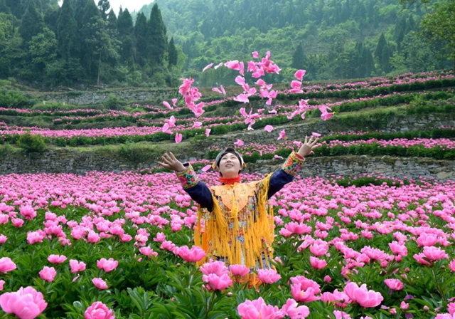 【五一特辑】赏花正当时!古蔺之春无需远游……(图11) 11.jpg