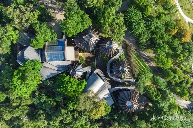 内江!“海”天一色——(图14) nEO_IMG_24.jpg