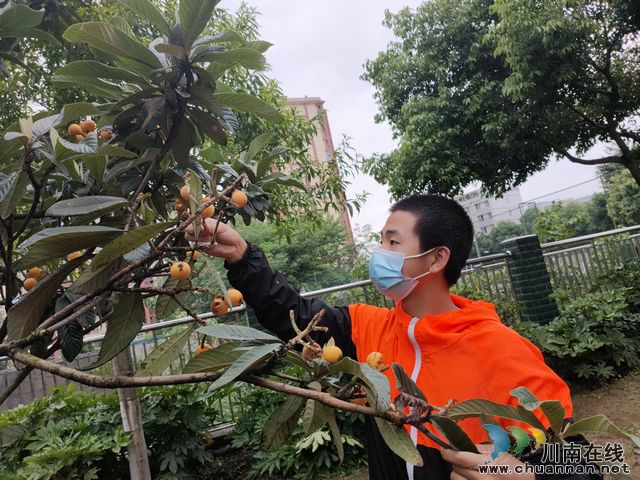 泸州市儿童福利院:用心感悟劳动之美 用情致敬劳动人民(图2) 微信图片_20220502190255.jpg