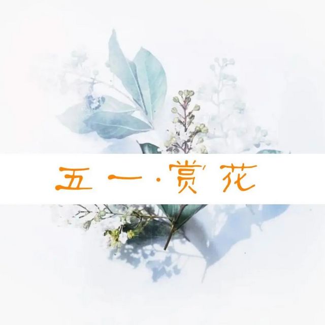 趁着阳光,来纳溪赴一场浪漫追花之旅(图1) nEO_IMG_1.jpg