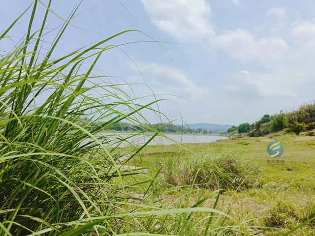 五一去了吗?富顺这些“宝藏”打卡地!(图17) 17.jpg