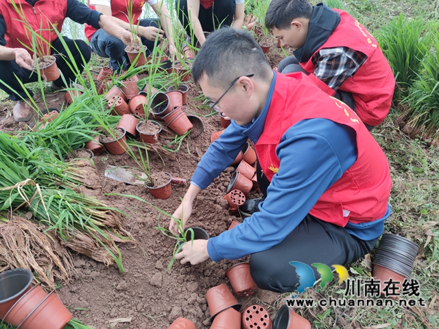 泸县百和镇:文明行动日 志愿活动有意义(图5) 4.28生态浮板志愿服务IMG_20220428_092456.jpg