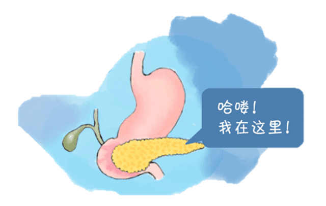 “憨吃傻胀”就要遭？胰腺炎和喝酒吃肉究竟有没有关系？