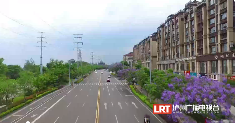 泸州主城区3000余株蓝花楹陆续绽放!快去这些地方打卡→(图3) 3.png