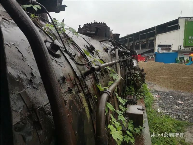 震惊!内江这支“考古队”在砂石堆里“挖”出一个庞然大物(图3) 3.jpg