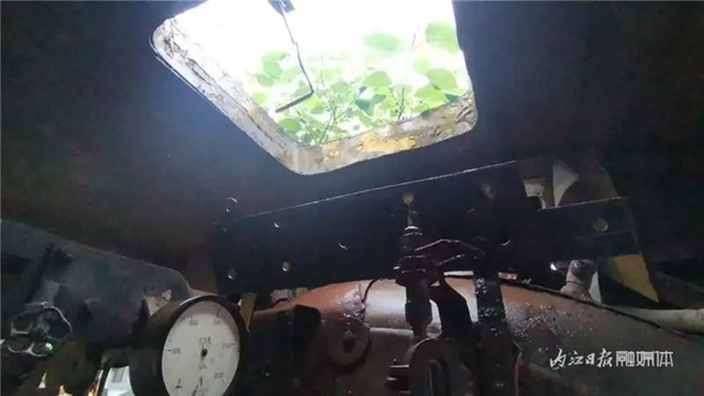 震惊!内江这支“考古队”在砂石堆里“挖”出一个庞然大物(图5) 5.jpg