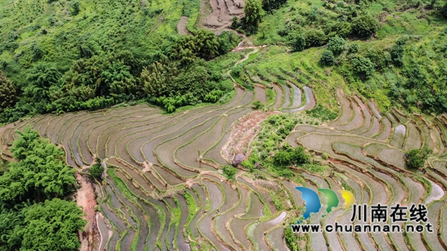 叙永县大石镇:撂荒地变致富田,农民增收笑开颜!(图2) 1、在四川省泸州市叙永县大石镇旺龙村4社拍摄到该镇治理后的撂荒地。.jpg