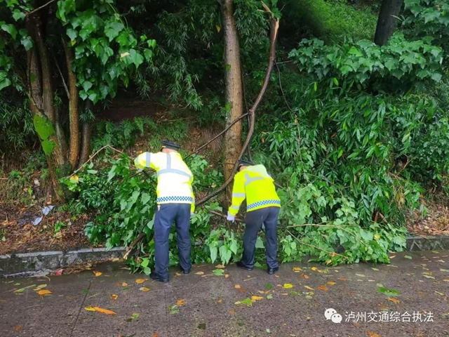 全域联动、应急排险|泸州交通雨后排查清障 确保道路畅通(图13) 13.jpg