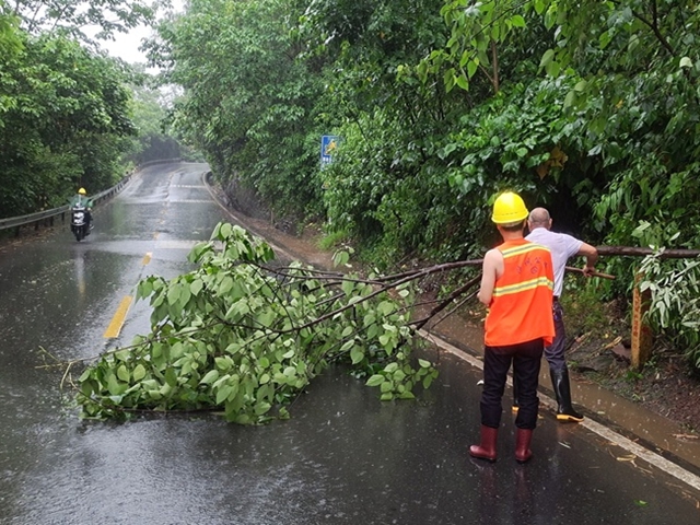 全域联动、应急排险|泸州交通雨后排查清障 确保道路畅通(图1) 1.jpg