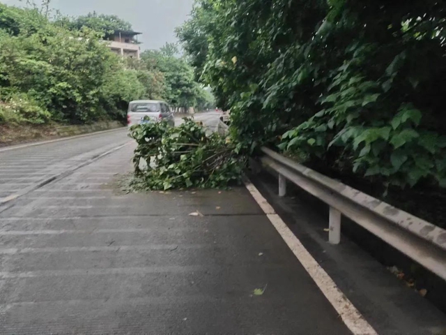 全域联动、应急排险|泸州交通雨后排查清障 确保道路畅通(图2) 2.jpg