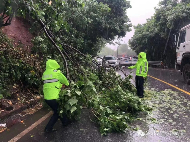 全域联动、应急排险|泸州交通雨后排查清障 确保道路畅通(图8) 8.jpg