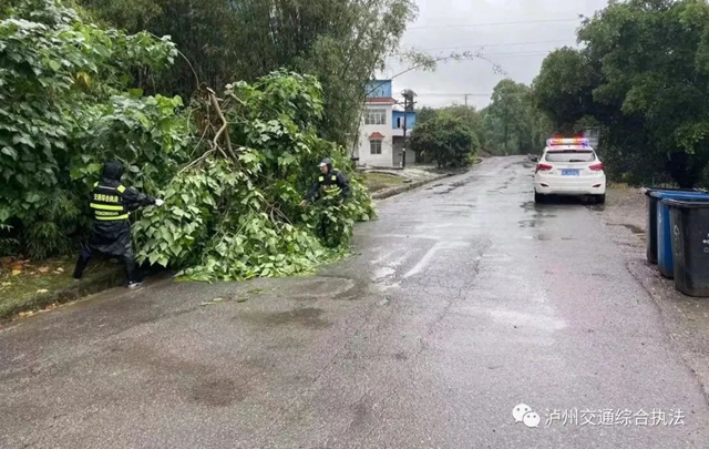 全域联动、应急排险|泸州交通雨后排查清障 确保道路畅通(图10) 10.jpg