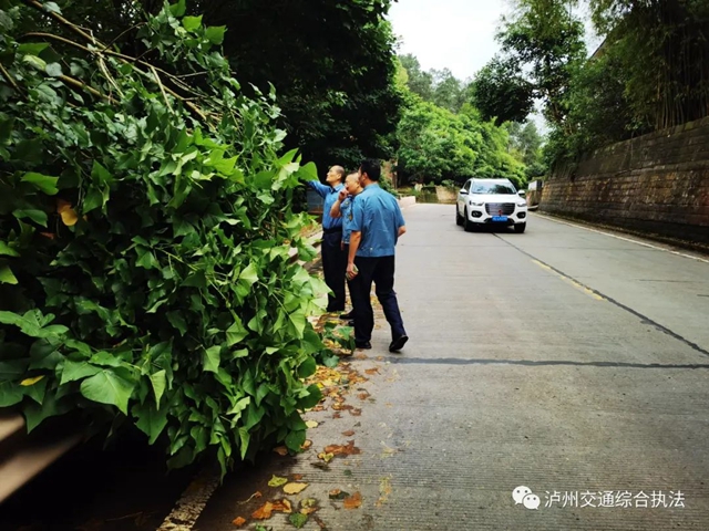 全域联动、应急排险|泸州交通雨后排查清障 确保道路畅通(图7) 7.jpg