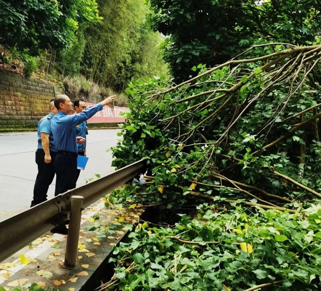 全域联动、应急排险|泸州交通雨后排查清障 确保道路畅通(图6) 6.jpg