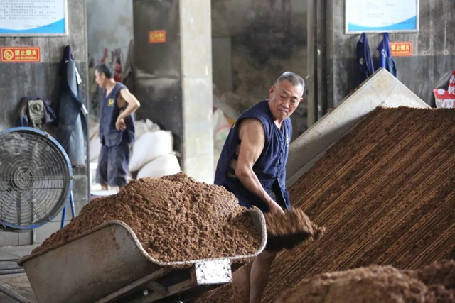 沈酒坊老酒传统酿制技艺正式被授牌(图6) 6.jpg