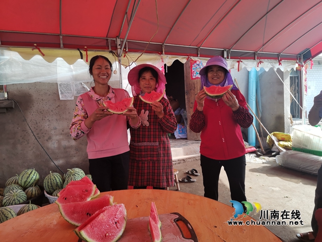 瓜菜轮作 泸县方洞镇种出火红的日子!(图5) 品尝甘甜(曾佐然摄).jpg