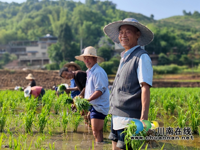 泸县海潮:高标准农田染新绿,静待金秋谷满仓(图6) 5731ACAEF36B6B384A756E0B190EA47A.jpg