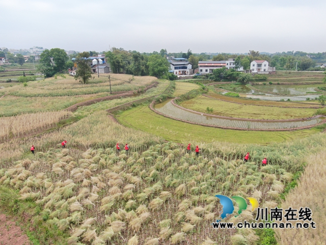 DJI_0099.JPG
