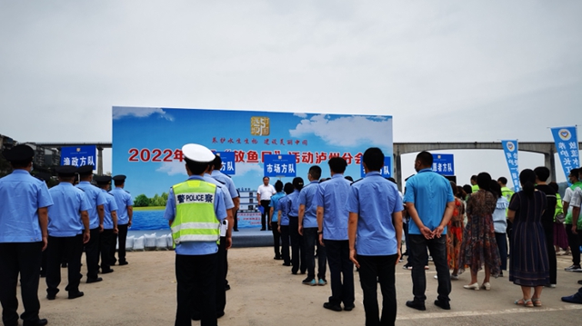 鱼1.jpg