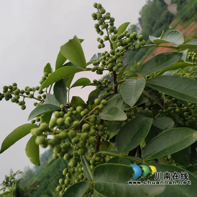 微信图片_20220526154208.jpg